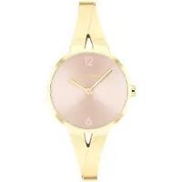 Calvin Klein Watches Relógio Feminino 25100027 30 Mm
