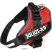 JULIUS K-9 Arnês Para Cães Idc Power