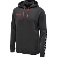 Hummel Moletom Com Capuz Authentic Poly