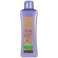 Salerm Cosmetics Biokera Grapeology Shampoo 300ml