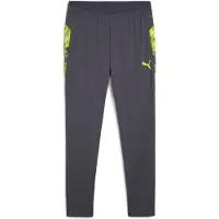 Puma Calças de desporto 'IndividualCUP' cinzento / lima