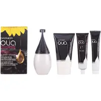 Garnier Olia Permanent Coloring 1,0 Black Ebony