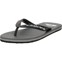 Quiksilver Chinelos Molokai Core