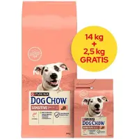 Purina Ração Para Cães Dog Chow Sensitive Salmão 2.5kg