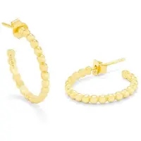 Radiant Brincos Ry000016