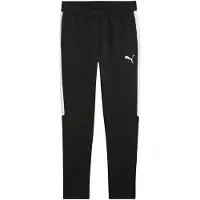 Puma Calças de desporto 'TeamEVOSTRIPE' preto / branco