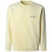 Pepe Jeans para homem. PM582918 Camisola Terrel amarela (S), Casual, Amarelo, Algodão, Manga comprida