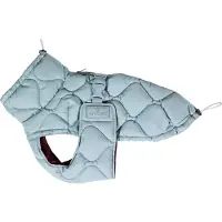 Kentucky Casaco Para Cachorro Winter Pina