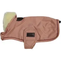 Kentucky Casaco Para Cachorro Wp
