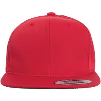 Flexfit Boné Pro-style Twill