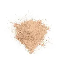 Gosh Mineral Powder 004-natural