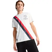 Puma Camisola de futebol marinho / vermelho escuro / preto / branco