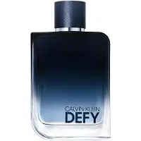 Calvin Klein Eau De Parfum Defy 200ml