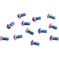 Sram Conjunto De Parafusos De Coroa Rotor Bolt Titanium T25 12 Unidades