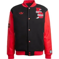 Adidas Casaco Fc Bayern Munich Vrct