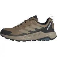 Adidas Sapatos De Caminhada Terrex Anylander