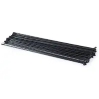 Wethepeople Raios Traseiros 14g 22´´ 40 Unidades