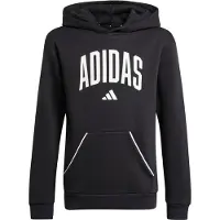 Adidas Moletom Com Capuz Seasonals Essentials Collegiate Typography