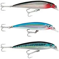 Rapala Minnow X-rap Saltwater 22g 120 Mm