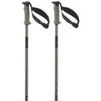 Salomon Bastões Polar Pro S3