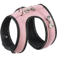 Ferplast Arnês Para Cães Joy P
