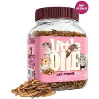 Mealberry Littleone Snack Larvas De Farinha Snack Para Roedores 70g 6 Unidades