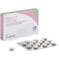 Karizoo Suplemento Para Animais De Estimação Silycure 160mg 30 Unidades