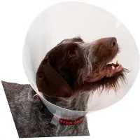 Kruuse Coleira De Cachorro K273394 Elizabethan 10 Unidades