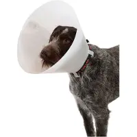 Kruuse Coleira De Cachorro K273360 Elizabethan 10 Unidades