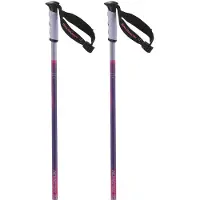 Salomon Bastões Arctic S3 Xl