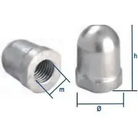 Tecnoseal Porca Do Eixo Renault Couach