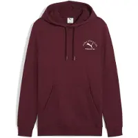 Puma Moletom Com Capuz Class Graphic
