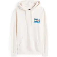 Tommy Hilfiger Moletom Com Capuz Dm0dm22077