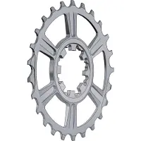 Miche Pinhão Supertype 10s Campagnolo Last Position