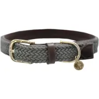 Kentucky Coleira De Cachorro Nylon Plaited