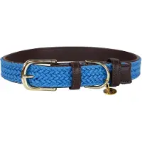 Kentucky Coleira De Cachorro Nylon Plaited