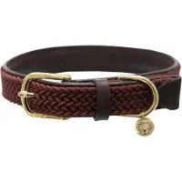 Kentucky Coleira De Cachorro Nylon Plaited