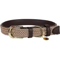 Kentucky Coleira De Cachorro Nylon Plaited