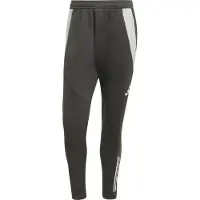 Adidas Calças de Inverno Tiro 24 Competition
