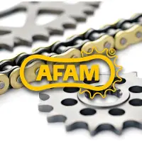 Afam KIT DE CORRENTE 520 690/R DUKE 08- 114/16/40