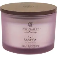 Chesapeake Bay Candle Vela Alegria e Riso 312,0 g