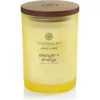 Chesapeake Bay Candle Vela Força e Energia (vidro médio) - 250,0 g