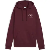 Puma Moletom Com Capuz Class Relaxed Fit
