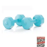 Gymstick Haltere Vinyl S 2 X 5kg