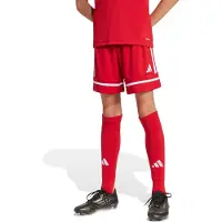 Adidas Calções Squadra 25