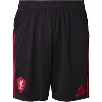 Adidas Calções Alternativos 25/26 do Liverpool FC