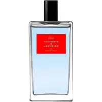 Victorio & Lucchino Agua Hombre N11 Eau de Toilette Uomo 150ml — Eau de Toilette
