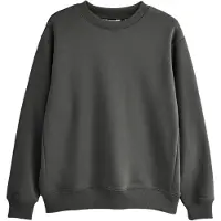Next Sweatshirt cinzento escuro