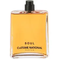 Costume National Soul Parfum Spray 100 ml