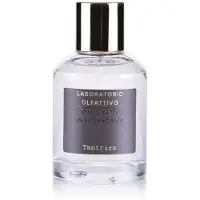 Laboratorio Olfattivo Laboratório Olfativo Tântrico Eau de Parfum - 100 ml